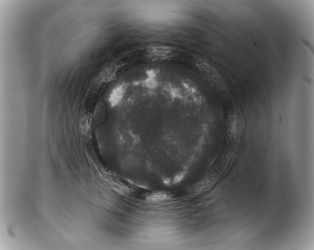 X0000101140759200807251026