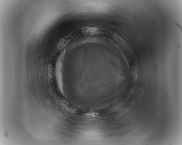 X0000101140760200807251026