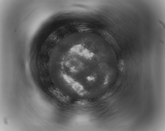 X0000101140763200807251026