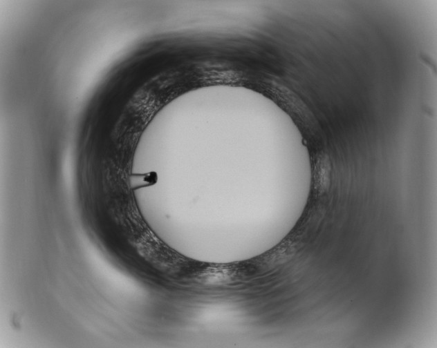 X0000101140764200807251026