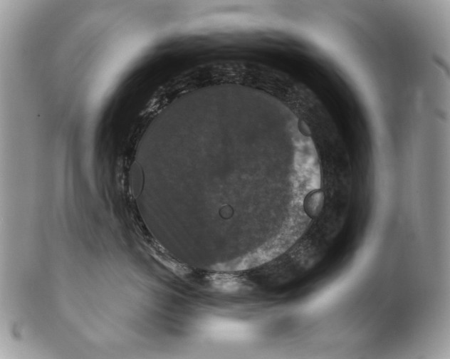 X0000101140766200807251026