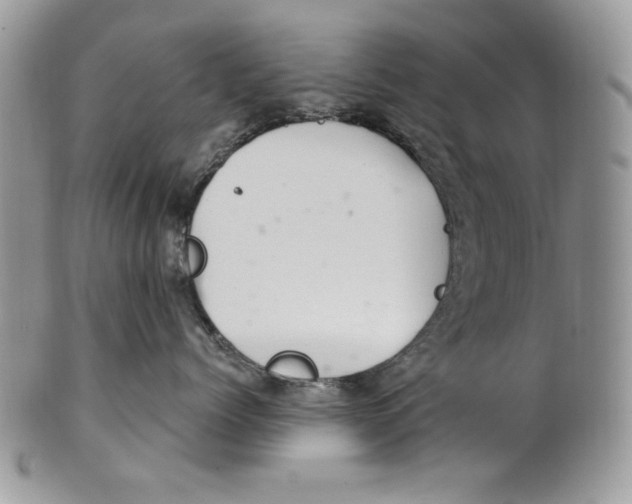 X0000101140768200807251026