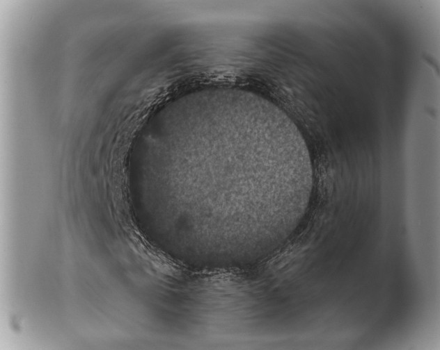 X0000101140769200807251025