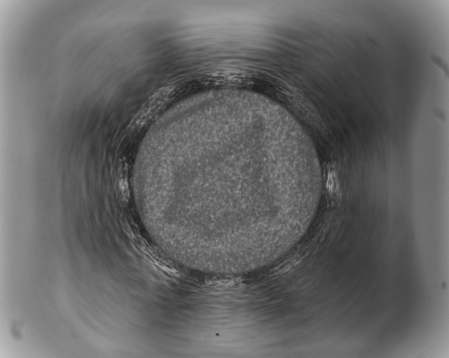 X0000101140771200807251025