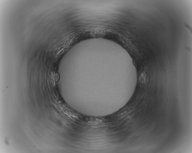 X0000101140772200807251025