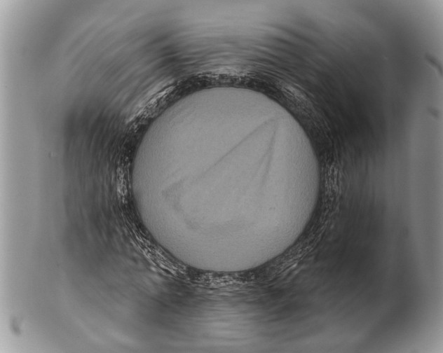 X0000101140774200807251025