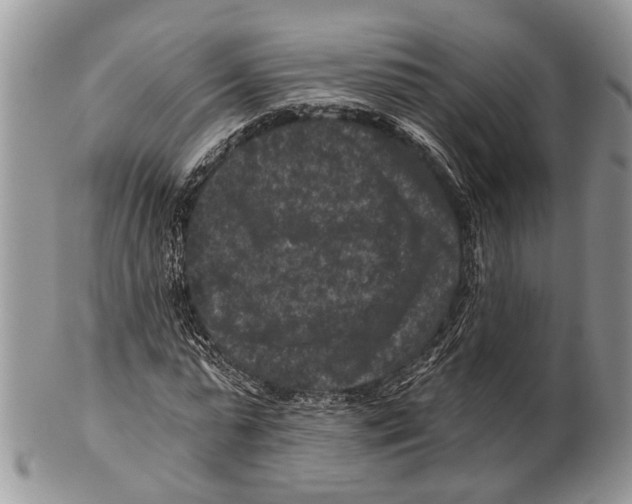 X0000101140775200807251025