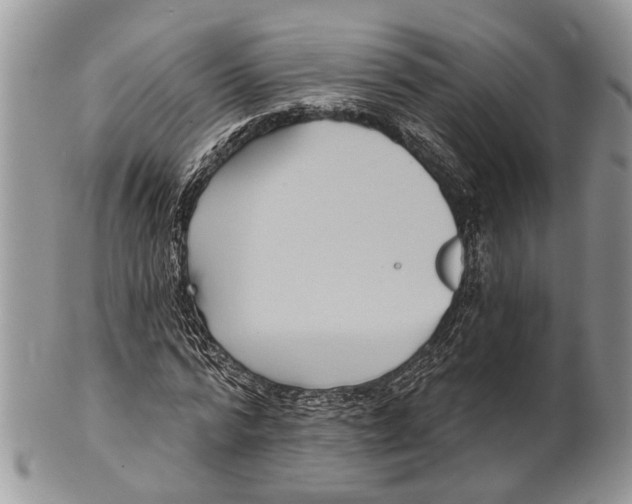 X0000101140776200807251025