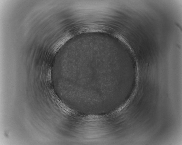 X0000101140777200807251025