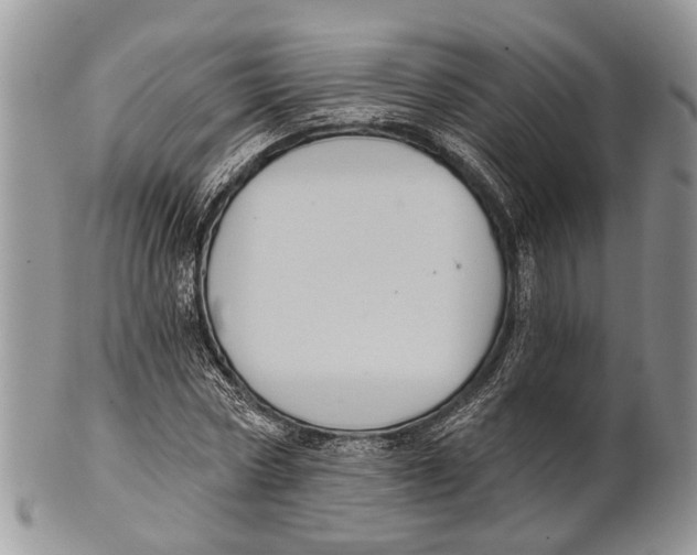 X0000101140778200807251025