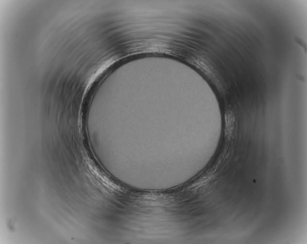 X0000101140780200807251025