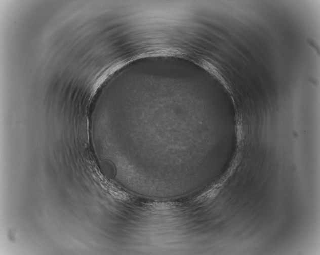 X0000101140781200807251025