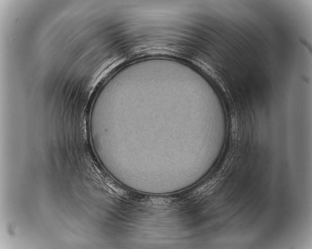 X0000101140782200807251025