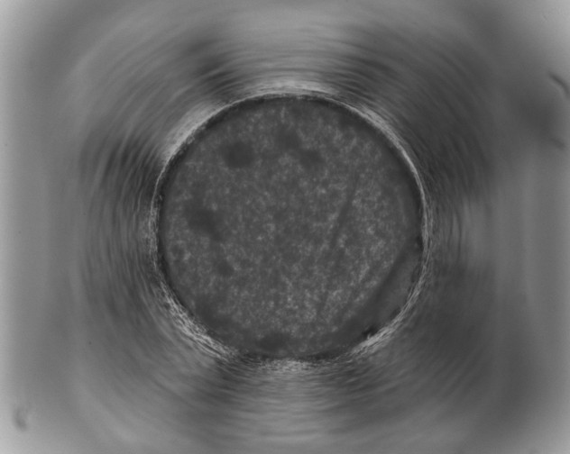 X0000101140783200807251025