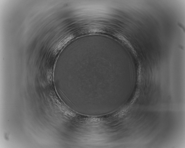 X0000101140785200807251025