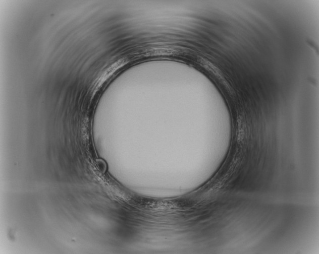 X0000101140786200807251025