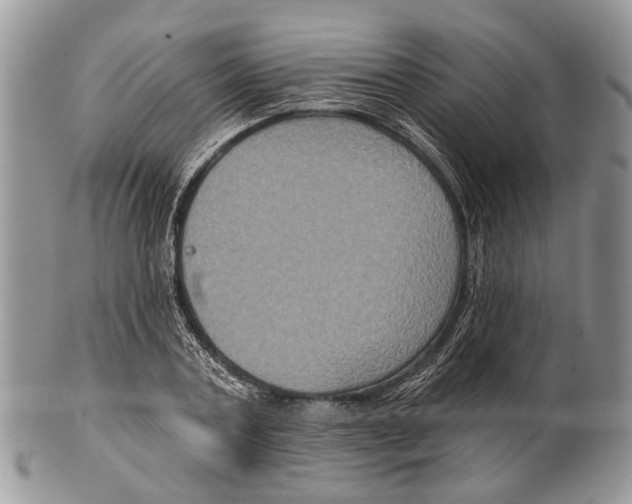 X0000101140787200807251025