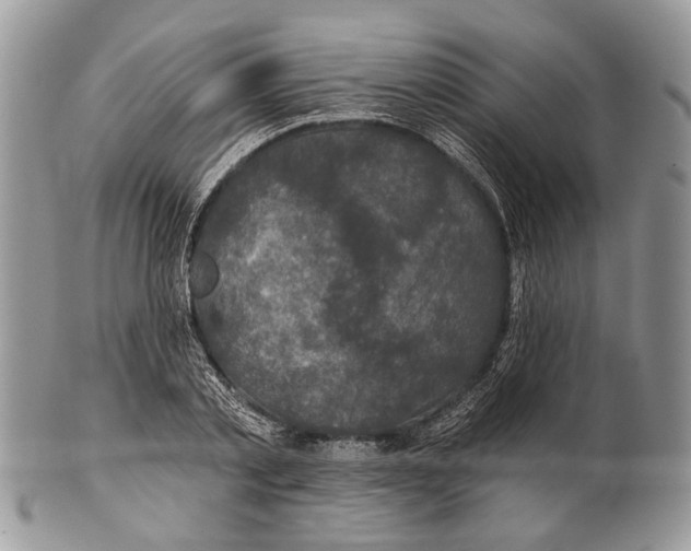 X0000101140789200807251025