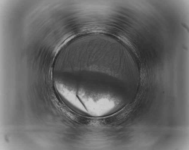 X0000101140790200807251025