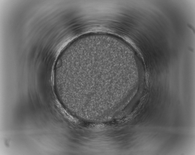 X0000101140791200807251025