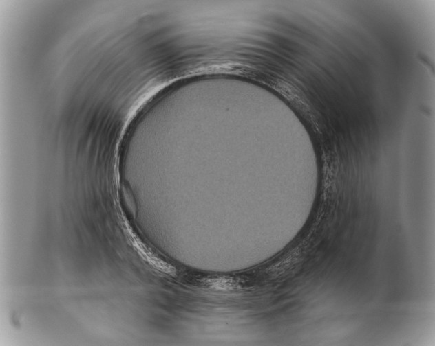 X0000101140792200807251025