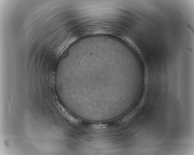 X0000101140793200807251025