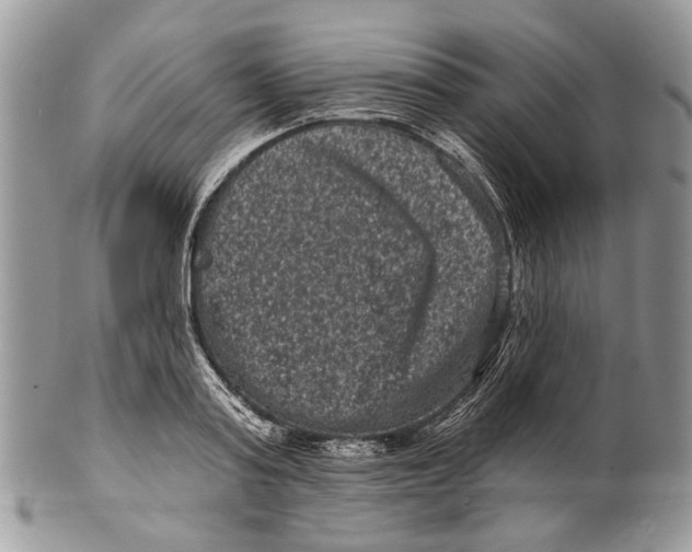 X0000101140795200807251025