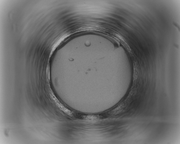 X0000101140796200807251025