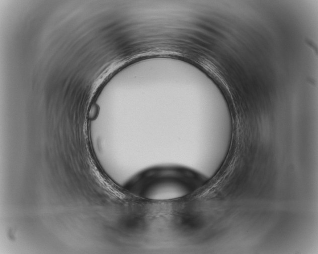 X0000101140797200807251025