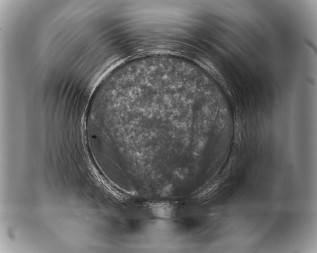 X0000101140798200807251025