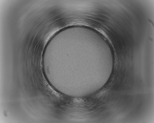 X0000101140799200807251025