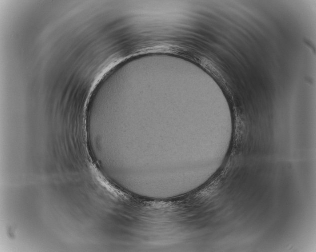 X0000101140800200807251025