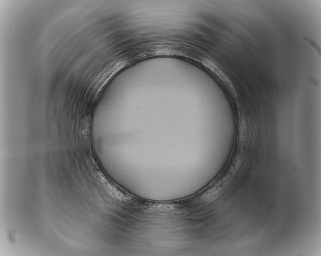 X0000101140801200807251025