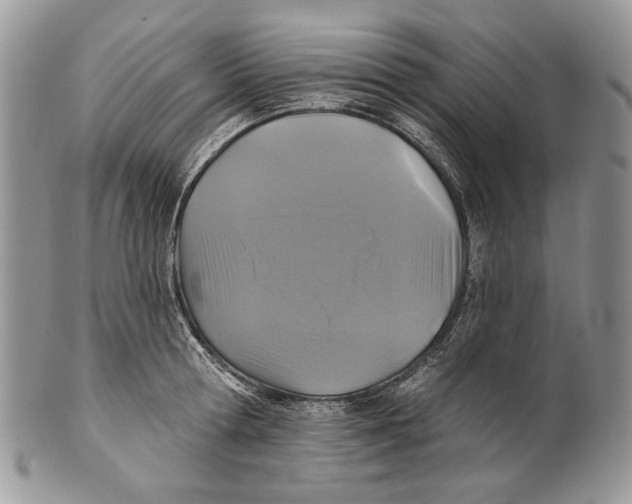 X0000101140802200807251025