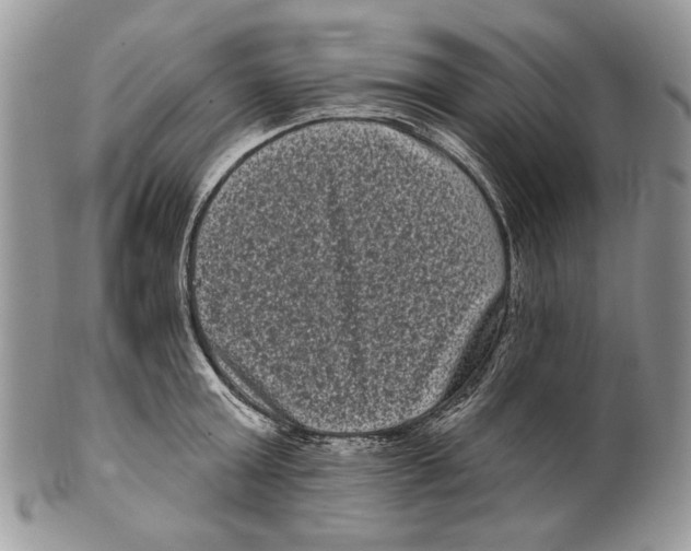 X0000101140803200807251025