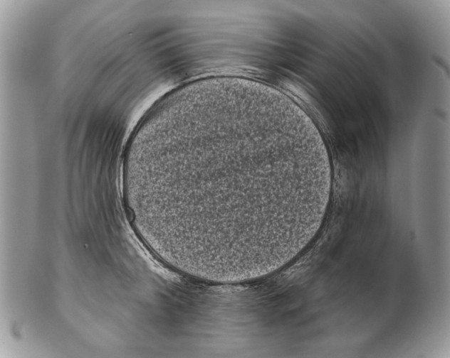 X0000101140804200807251025