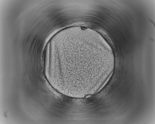 X0000101140808200807251024