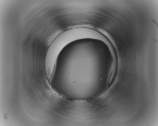 X0000101140809200807251024