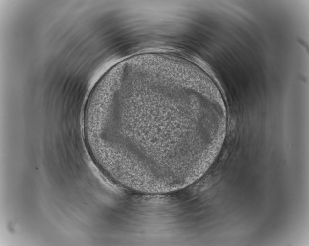 X0000101140811200807251024