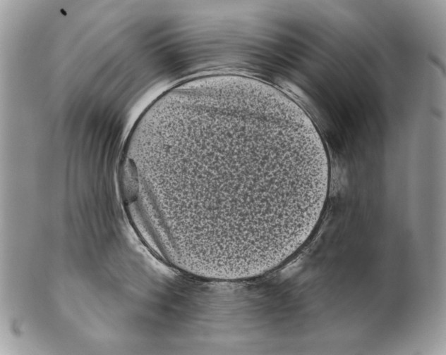 X0000101140812200807251024