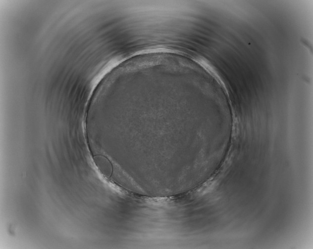 X0000101140813200807251024