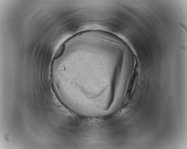 X0000101140815200807251024