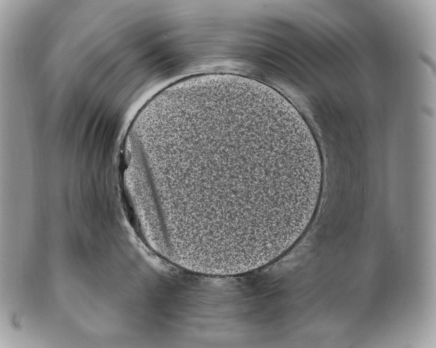 X0000101140816200807251024