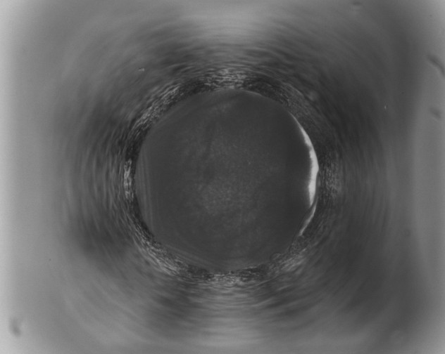 X0000101140818200807251024