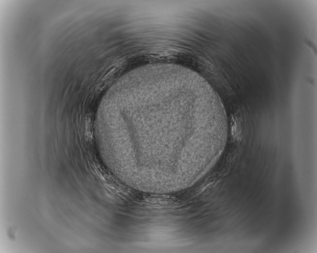 X0000101140819200807251024