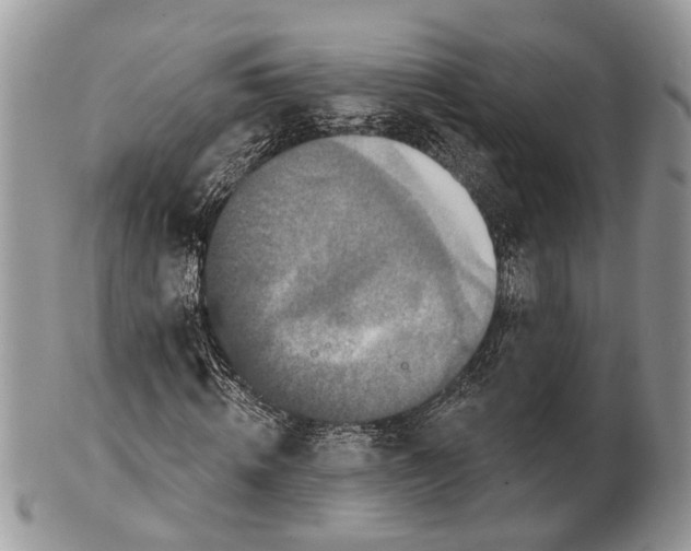 X0000101140820200807251024