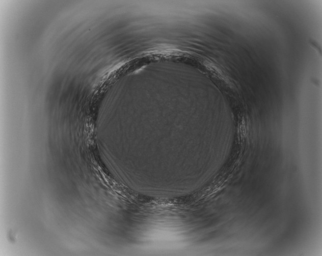 X0000101140822200807251024