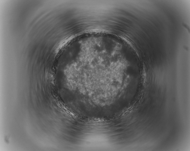 X0000101140823200807251024