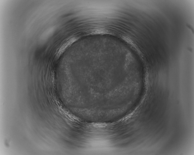 X0000101140825200807251024