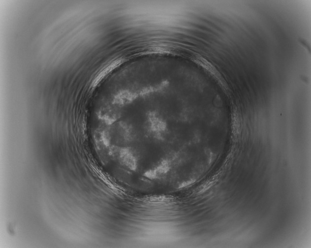 X0000101140826200807251024